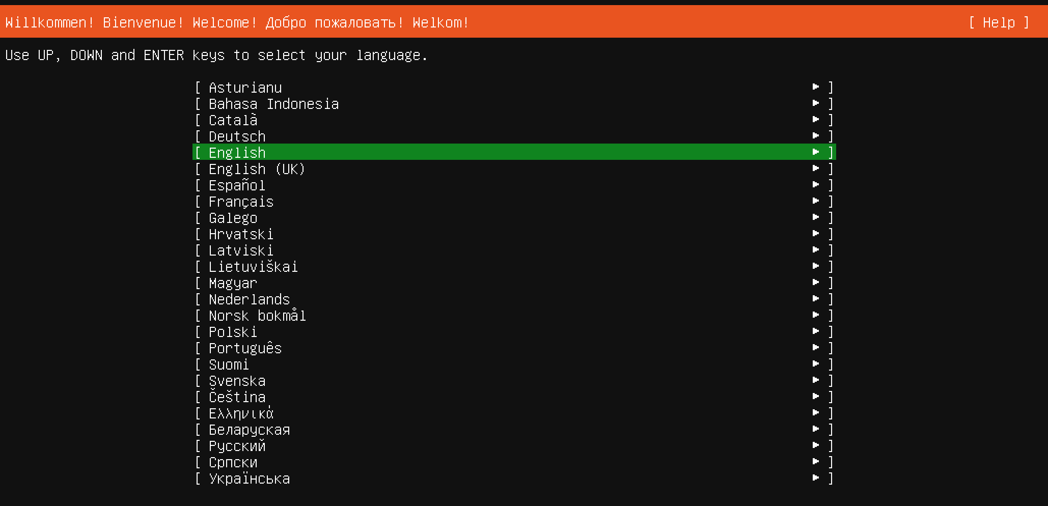 Linux installation language selection